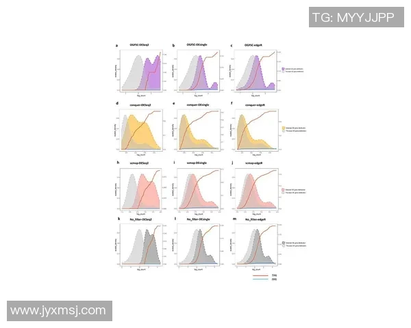 武汉篮球队团队协作表现的数据分析与提升策略探讨